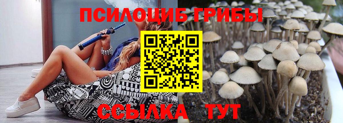 Псилоцибиновые грибы MAGIC MUSHROOMS Знаменск