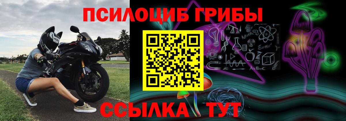 Галлюциногенные грибы Cubensis  Вход с VPN  Галлюциногенные грибы мухоморы  Знаменск 